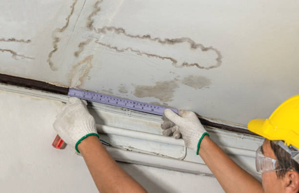 Reliable Mold Remediation contractor in Willis, MI by Water Damage Irwin